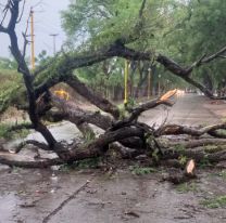El temporal en Jujuy dejó barrios sin energía eléctrica y registran daños materiales