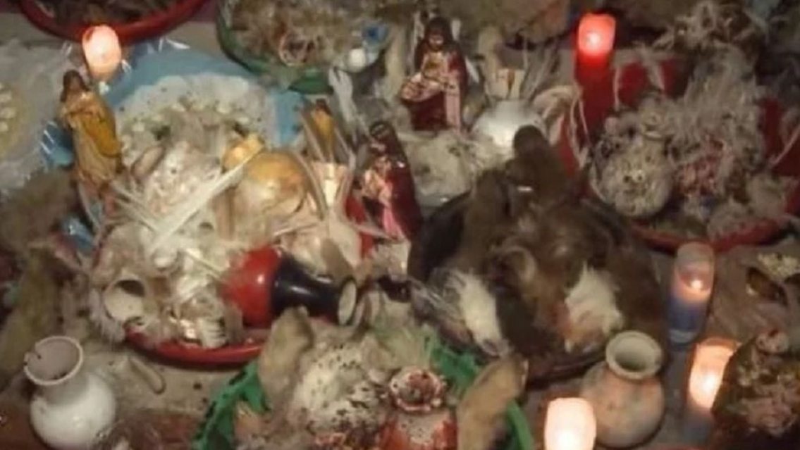 Iba a ser sacrificada en un templo umbanda, la rescataron justo a tiempo