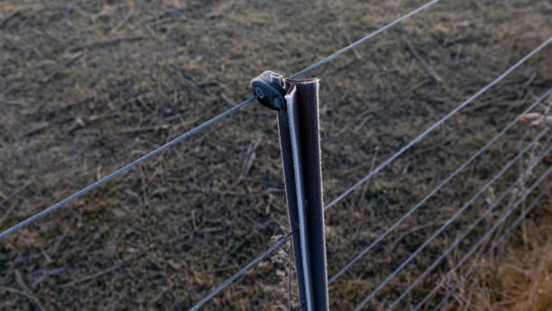 Norte�a quiso entrar a robar a una casa y muri� electrocutada: as� se llamaba
