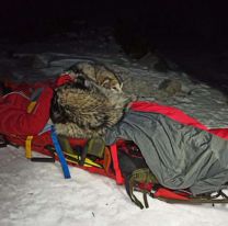 La historia del perro que pasó 13 horas sobre un montañista accidentado y le salvó la vida