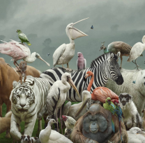 Se convirtió en el animal terrestre más viejo del mundo. ¿De qué especie es?