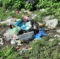 Muy roñosos: el problema de los microbasurales en Palpalá