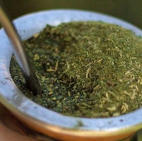 Por la sequía, peligra el abastecimiento de yerba mate