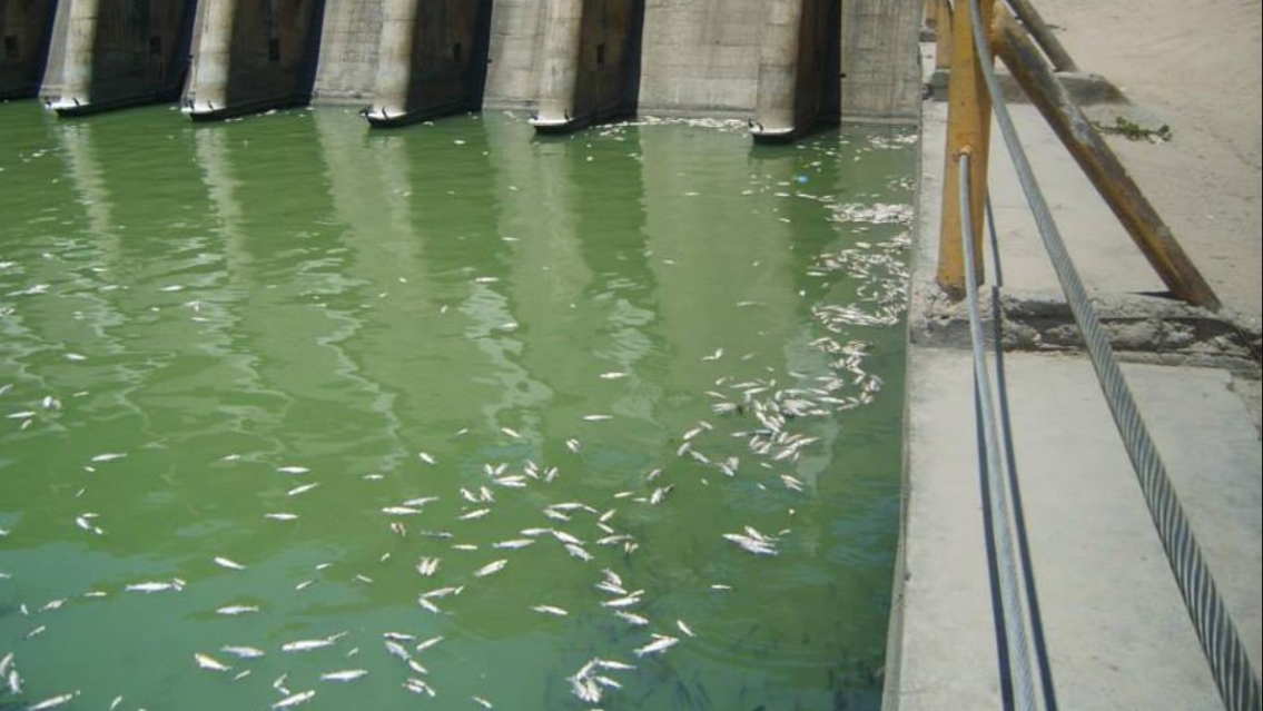 Fueron a comer al dique y los asaltaron: se llevaron hasta los calzoncillos