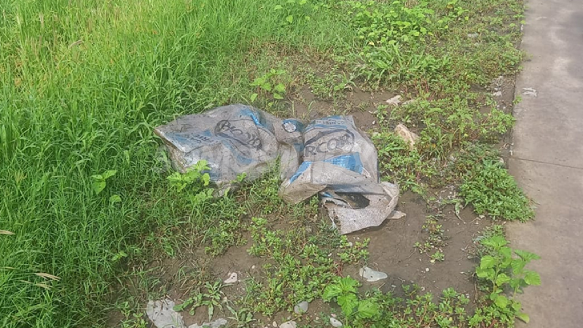 Perico tierra de nadie, animales muertos y olor insoportable en pleno espacio verde