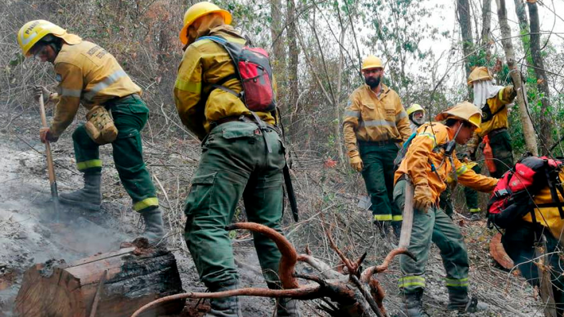 Podés ser brigadista profesional. Cómo estudiar la carrera gratuita en Jujuy