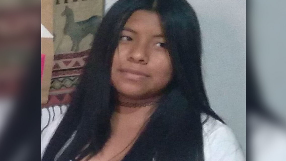 Por favor difundir: buscan a una adolescente de 17 a�os desaparecida en Uqu�a