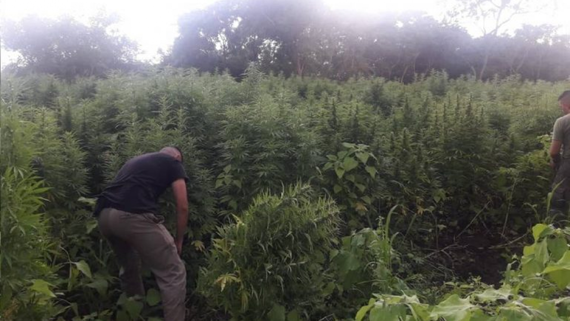 Mega operativo en una finca jujeña, secuestraron droga, un auto, municiones y un millón de pesos