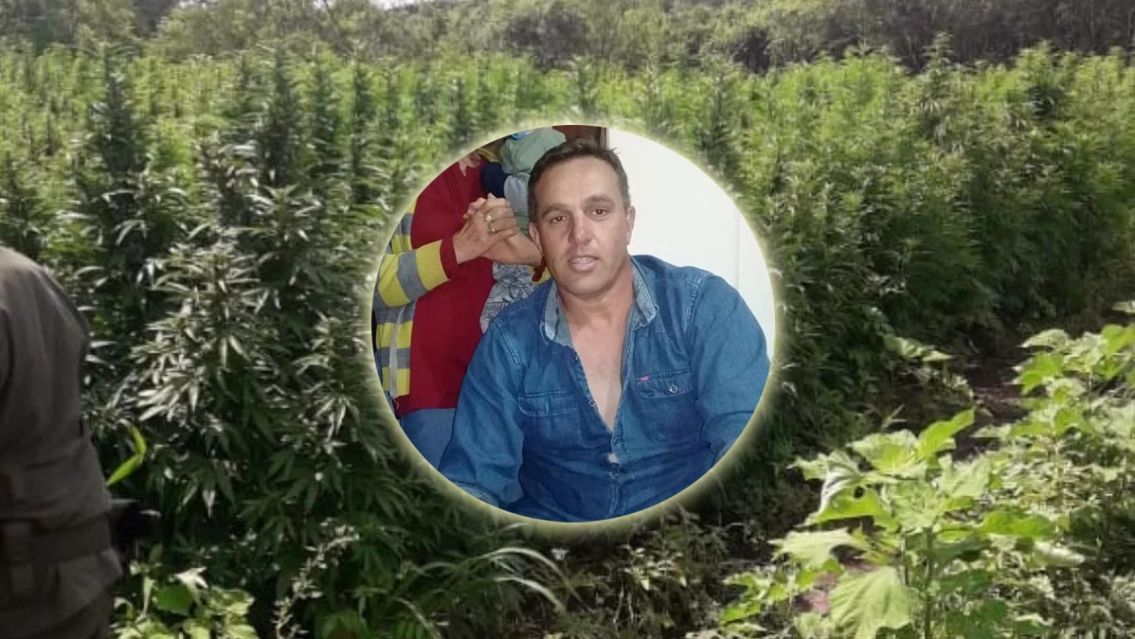M�s imputados por la marihuana de "el morsa": la megaplantaci�n del juje�o en Salta