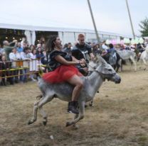 Ni rápidos, ni furiosos: quieren suspender la carrera de burros en Jujuy