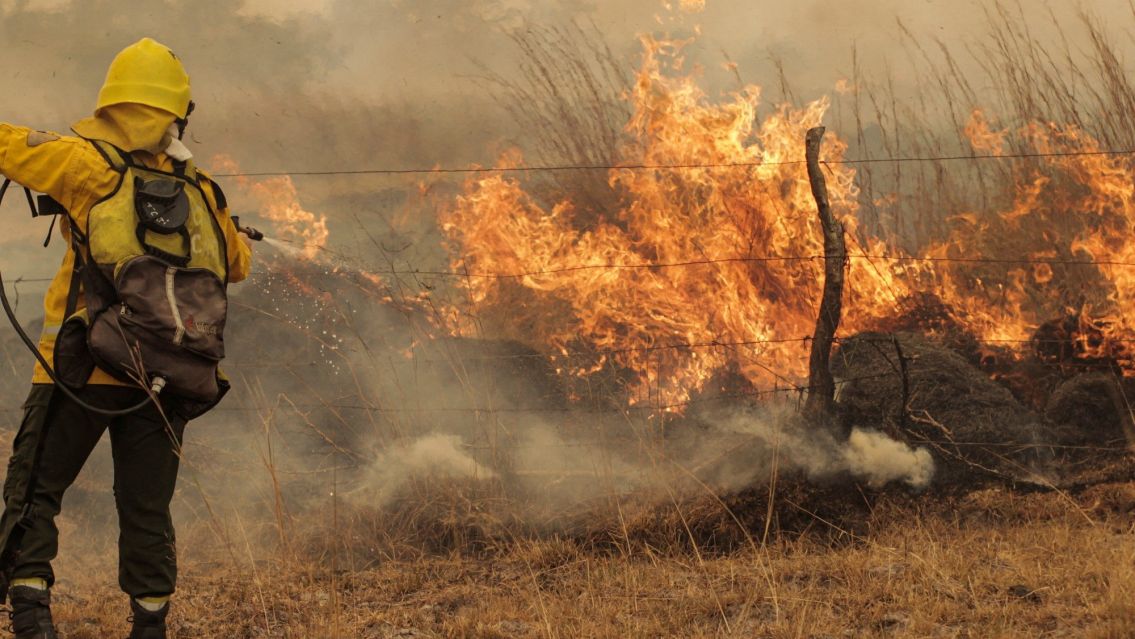 Monterrico: Bomberos combatieron tres incendios forestales en un solo d�a