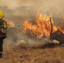 Monterrico: Bomberos combatieron tres incendios forestales en un solo día