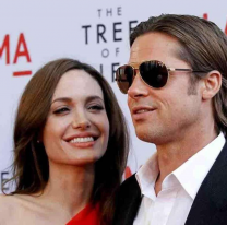 "Con el alcohol, no", Brad Pitt quiere ver presa a Angelina Jolie por vender una bodega