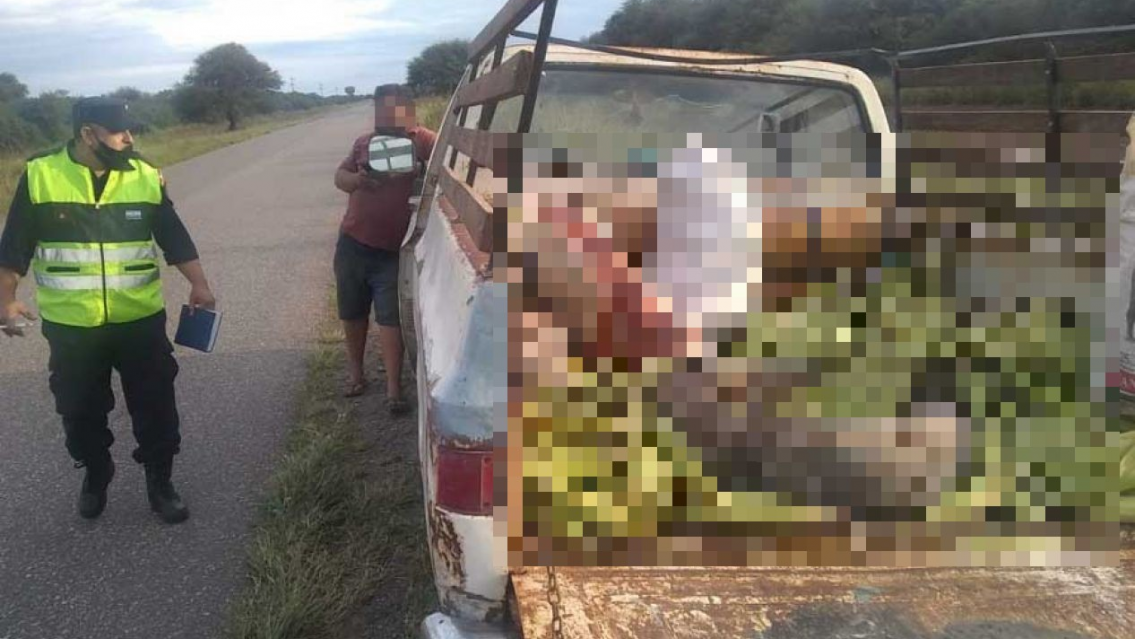 La policía los paró en la ruta y no sabían qué hacer: "tenían bolsas repletas de..."