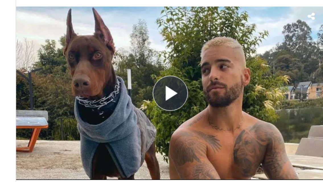 Qued� irreconocible. Un doberman atac� a Maluma y as� le dej� el rostro