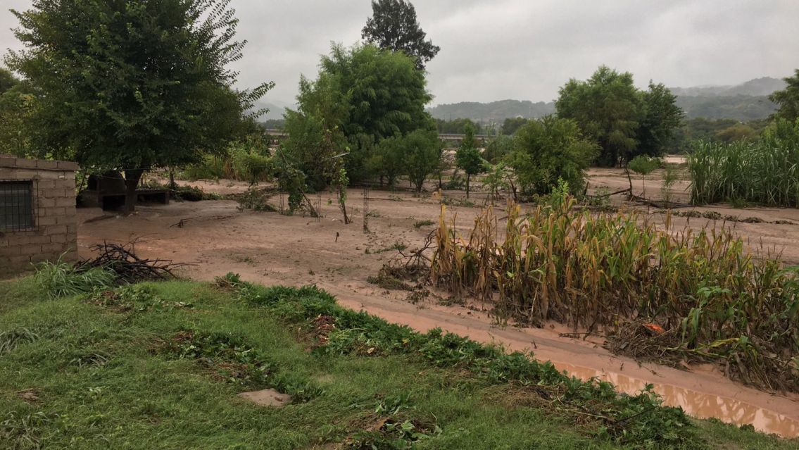 Sin agua, sin luz y el Río Grande le llevó hasta las verduras: necesitan ayuda