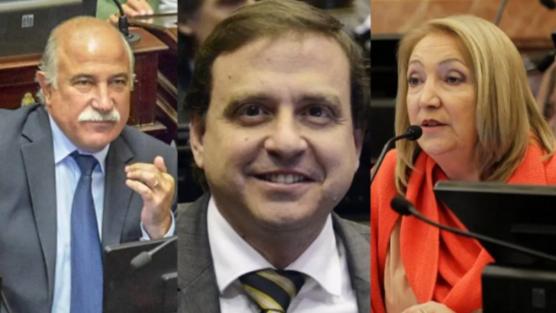 Dos ausentes: así votaron los senadores jujeños el Presupuesto Nacional 2023