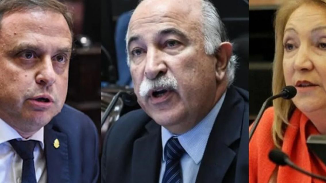 Así votaron los jujeños por el acuerdo con el FMI: Hubo uno que ni habló