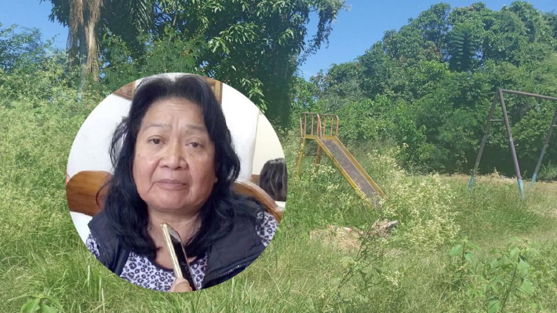 No lo hace la intendencia, lo hacen los vecinos: el olvido de Flores en Calilegua