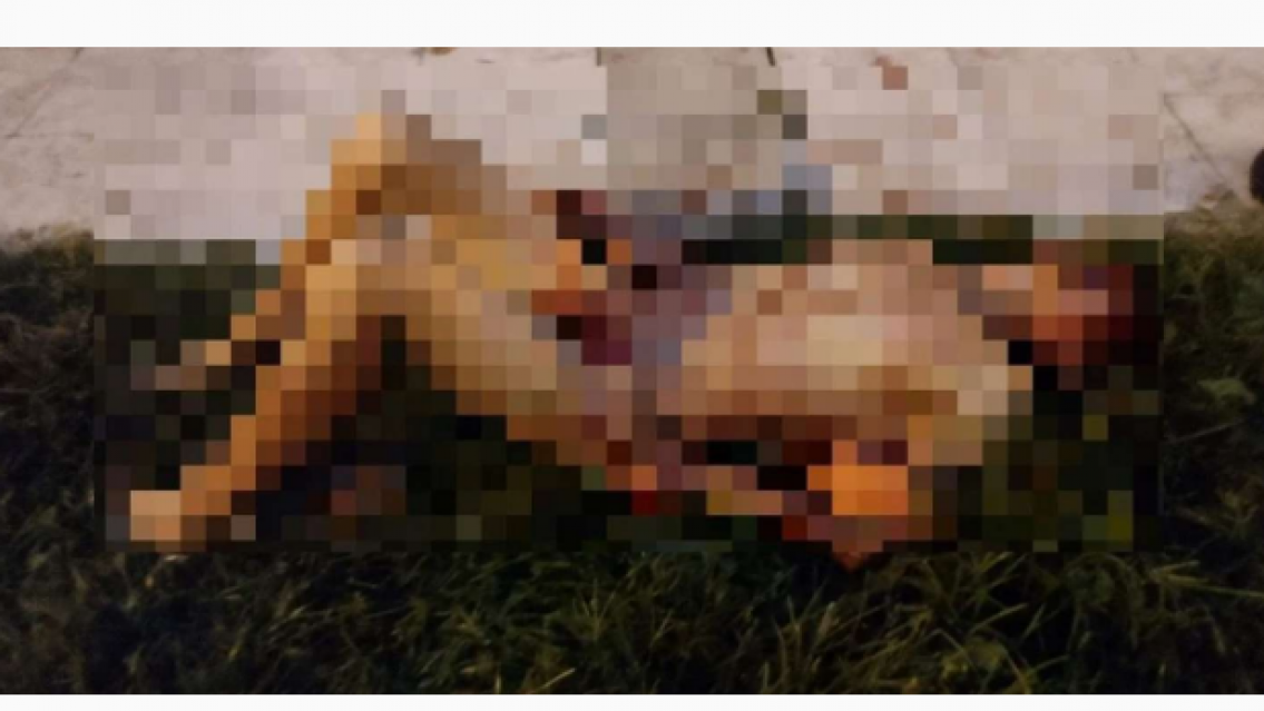 Era un "ladr�n de gallinas", lo lincharon, lo desnudaron y ahora est� en coma