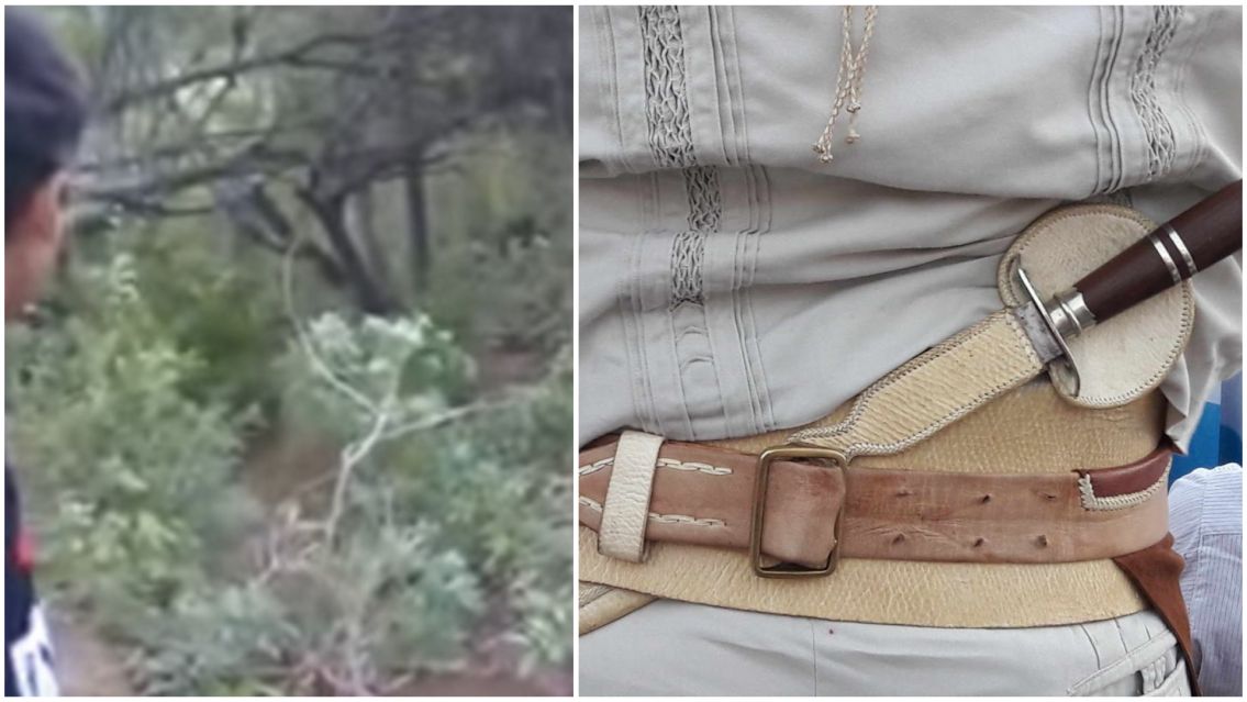 Gauchos con fac�n en mano quieren ir a cazar al Ucumar: "Sabemos d�nde est�"