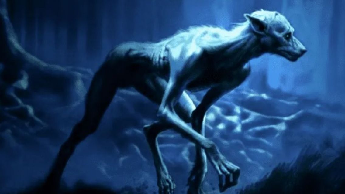 Qu� es el "Ucumar", el "animal" m�tico del norte argentino que destroz� a dos ovejas 