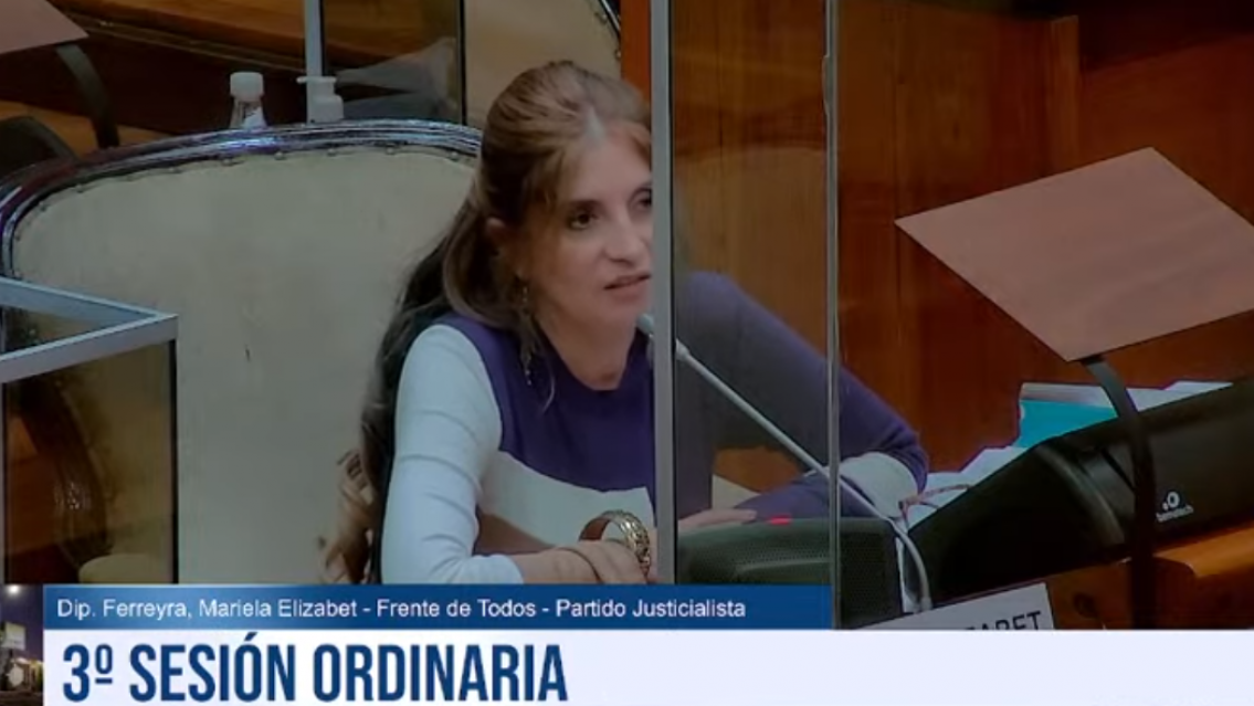 Diputados debaten la Ficha Limpia para Jujuy: "Es un peligro para nosotros"