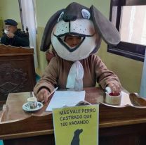 Insólito: concejala jujeña sesionó disfrazada de perro a ver si Gallardo escucha
