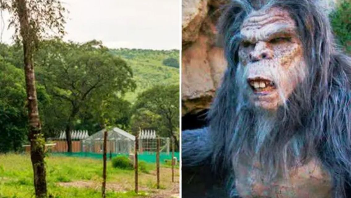 Crece el pánico por el Ucumar: es una mezcla de gorila, oso y humano