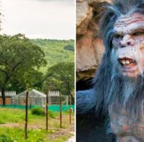 Crece el pánico por el Ucumar: es una mezcla de gorila, oso y humano
