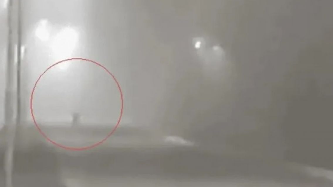 [SALI� EL VIDEO] Apareci� otro duende y un guardia de seguridad grab� todo: "Mir�..."