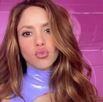 ¿Es Shakira la cantante más rica del mundo? Cuánto miles de millones posee: