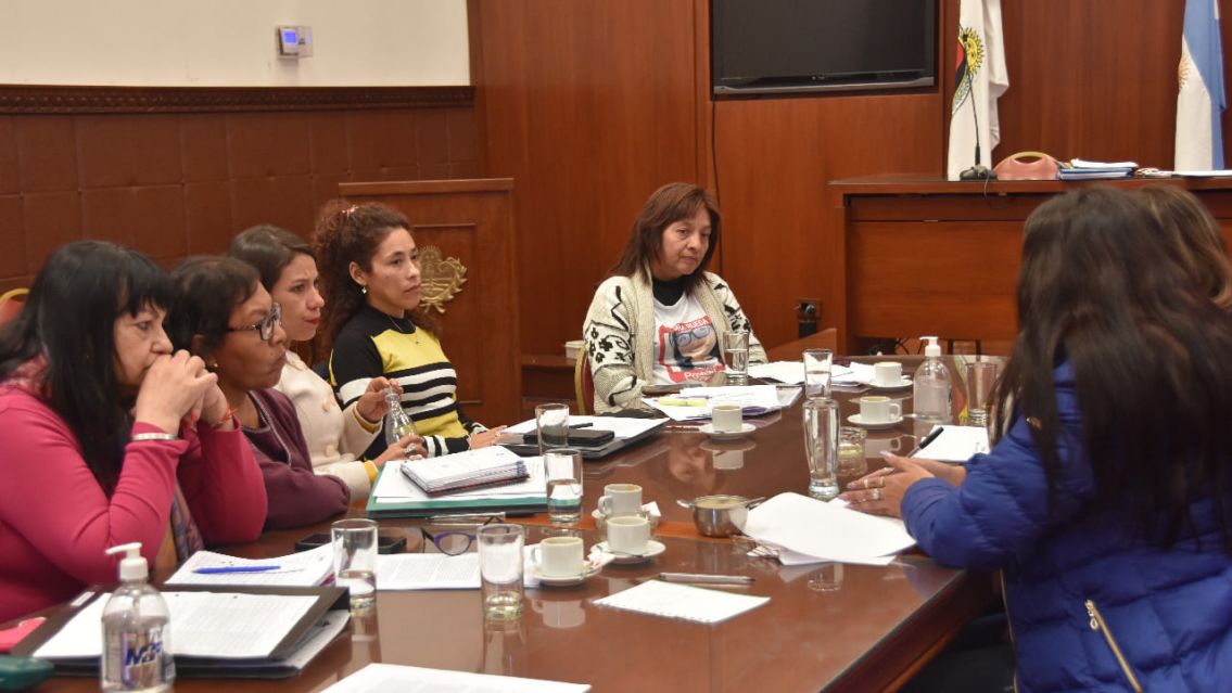 Legisladoras pusieron en jaque a Mart�nez y pidieron presupuesto para la Ley Iara