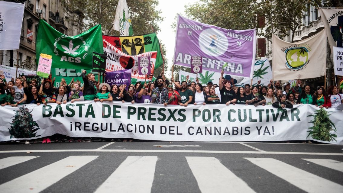 Jujuy se suma a la marcha mundial de la marihuana mañana: ¿Vas a ir?