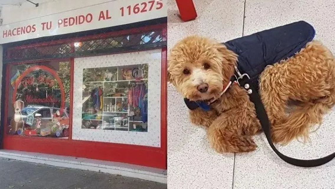 Llev� a su perro a la veterinaria, nunca lo busc� y descubrieron la cruel raz�n