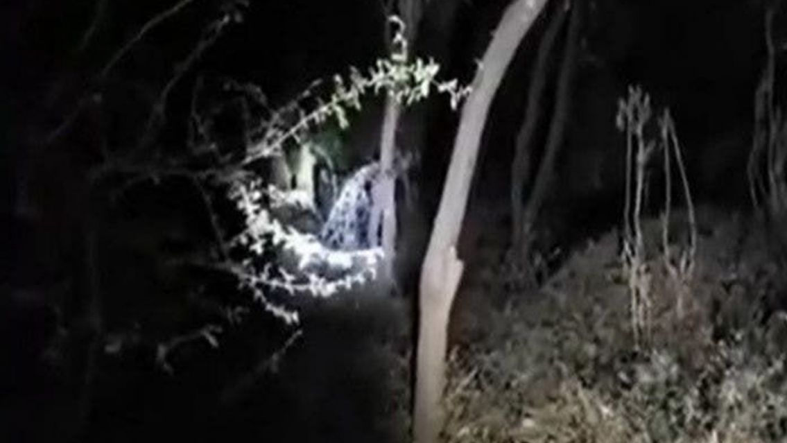 Fueron a pescar a Salta  y se toparon con brujas en el monte: "Nos hicieron doler los o�dos"