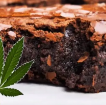 Escándalo: nueva intoxicación con brownies de marihuana. El "gracioso" se quedó sin laburo