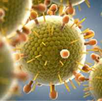 Virus sincicial: la enfermedad que no deja dormir a grandes y chicos 