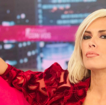 Viviana Canosa: "Me est&aacute;n midiendo para las elecciones, no descarto ser candidata"