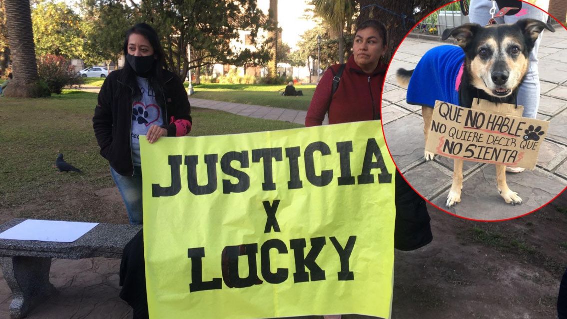Jujuy march� por el perrito asesinado a machetazos: "Exigimos justicia"