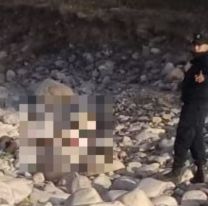 Apareció un cuerpo en un río de Jujuy: No lo pueden identificar