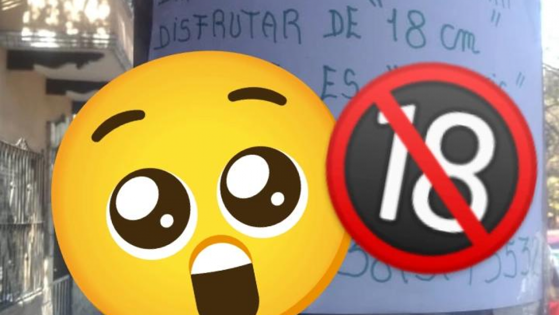 "Damas, cuando quieran disfrutar de 18 centímetros"... Llamativo cartel a mano alzada apareció en pleno centro