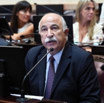 Fiad se quedó con la elección de Cambia Jujuy para senadores