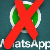 La función prohibida de WhatsApp que todos usamos y puede hacer que te cierren la cuenta