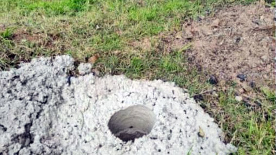 Horror y conmoci�n: encontraron a una beba con quemaduras dentro de una bolsa de basura