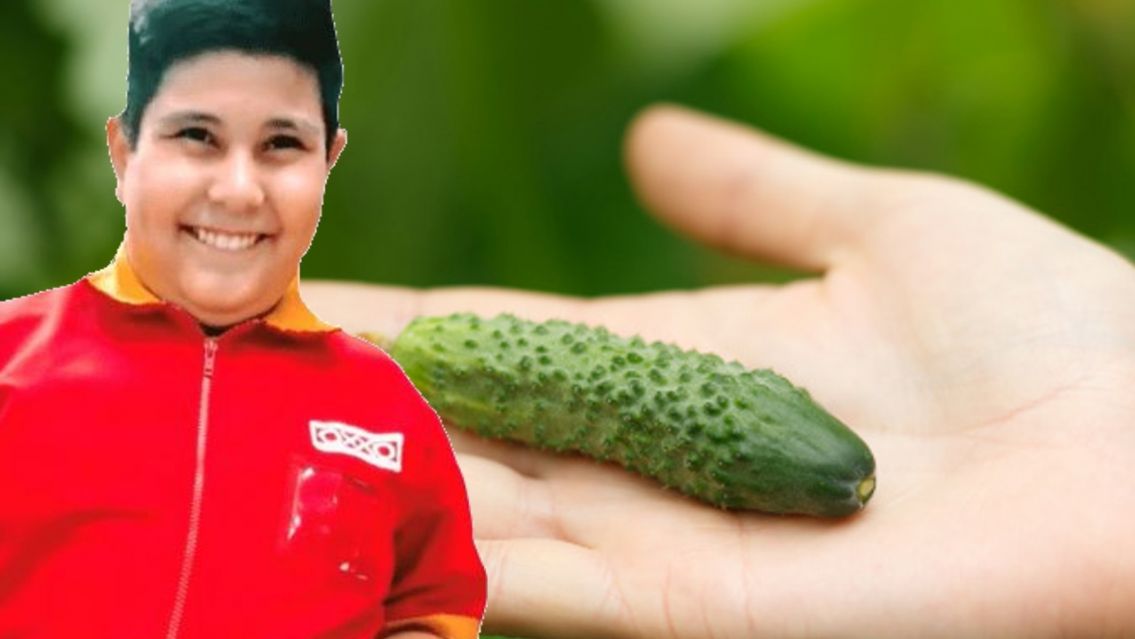 Este es el verdadero tamaño ideal del nepe: lo del termo es un mito