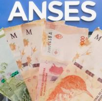 Ansés pagará un bono de 20 mil pesos en agosto: quiénes podrán cobrarlo