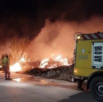 En Jujuy, los incendios consumieron 110 hect&aacute;reas en solo un fin de semana
