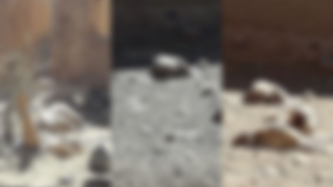 Jujeño fue a ver su rebaño y encontró a todas sus ovejas degolladas