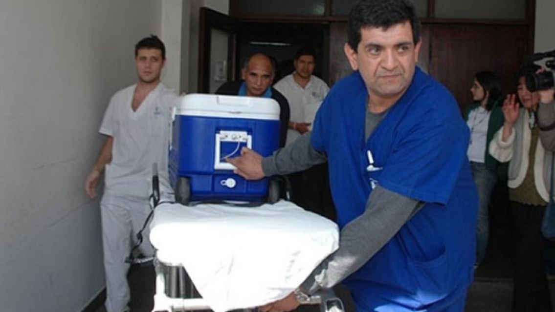 Jujuy: en lo que va del 2023 se realizaron 15 ablaciones